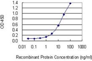 Detection limit for recombinant GST tagged HELLS is 0. (HELLS anticorps  (AA 1-348))