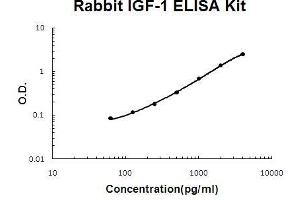 Rabbit IGF-1 PicoKine ELISA Kit standard curve (IGF1 Kit ELISA)