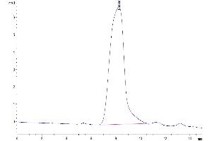 The purity of Human CD43 is greater than 95 % as determined by SEC-HPLC.