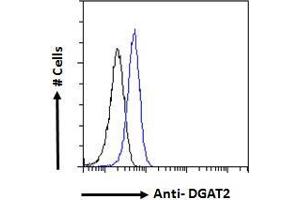 ABIN190849 Flow cytometric analysis of paraformaldehyde fixed HeLa cells (blue line), permeabilized with 0.