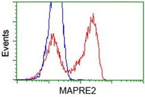 HEK293T cells transfected with either RC200259 overexpress plasmid (Red) or empty vector control plasmid (Blue) were immunostained by anti-MAPRE2 antibody (ABIN2454620), and then analyzed by flow cytometry. (MAPRE2 anticorps)