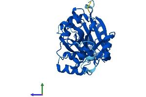 AlphaFold protein structure predicition of Human Recombinant GLYATL3 Protein, UniprotID Q5SZD4