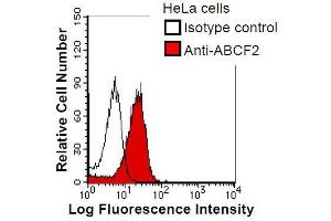 HeLa cells were fixed in 2% paraformaldehyde/PBS and then permeabilized in 90% methanol. (ABCF2 anticorps)