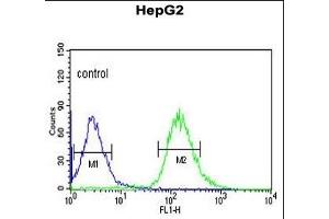 WAC Antibody (Center) (ABIN653490 and ABIN2842908) flow cytometric analysis of HepG2 cells (right histogram) compared to a negative control cell (left histogram). (WAC anticorps  (AA 284-313))