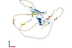 AlphaFold protein structure predicition of Human Recombinant ZGLP1 Protein, UniprotID P0C6A0