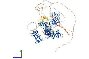 AlphaFold protein structure predicition of Mouse Recombinant Supt5h Protein, UniprotID O55201