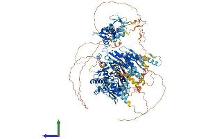 AlphaFold protein structure predicition of Mouse Recombinant Adar Protein, UniprotID Q99MU3