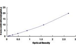 Image no. 1 for Egf-Like Module Containing, Mucin-Like, Hormone Receptor-Like 1 (EMR1) ELISA Kit (ABIN1874410)