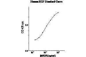 ELISA image for Epidermal Growth Factor (EGF) ELISA Kit (ABIN612686) (EGF Kit ELISA)