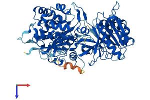 AlphaFold protein structure predicition of Mouse Recombinant Ndor1 Protein, UniprotID A2AI05