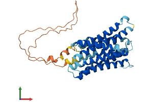 AlphaFold protein structure predicition of Mouse Recombinant Slc39a11 Protein, UniprotID Q8BWY7