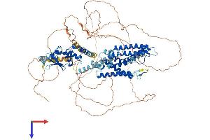 AlphaFold protein structure predicition of Human Recombinant KCNB2 Protein, UniprotID Q92953