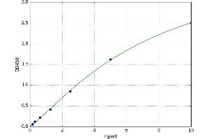 A typical standard curve (SMAD7 Kit ELISA)