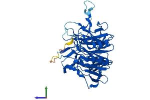 AlphaFold protein structure predicition of Human Recombinant KLHDC3 Protein, UniprotID Q9BQ90