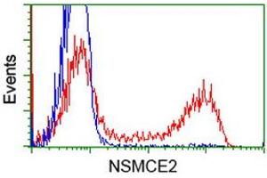 HEK293T cells transfected with either RC207639 overexpress plasmid (Red) or empty vector control plasmid (Blue) were immunostained by anti-NSMCE2 antibody (ABIN2453382), and then analyzed by flow cytometry. (NSMCE2 anticorps)