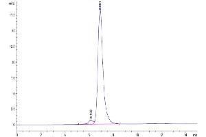 The purity of Mouse ITGAV&ITGB3 is greater than 95 % as determined by SEC-HPLC.