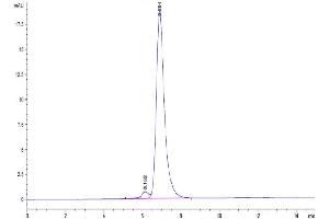 The purity of Mouse ITGAV&ITGB3 is greater than 95 % as determined by SEC-HPLC. (CD51/CD61 Protein (AA 31-988) (Fc Tag))
