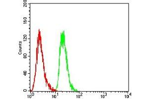 Flow cytometric analysis of Hela cells using ERCC1 mouse mAb (green) and negative control (red).