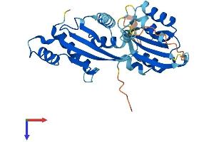 AlphaFold protein structure predicition of Human Recombinant RWDD2A Protein, UniprotID Q9UIY3