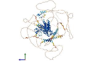 AlphaFold protein structure predicition of Human Recombinant RC3H1 Protein, UniprotID Q5TC82