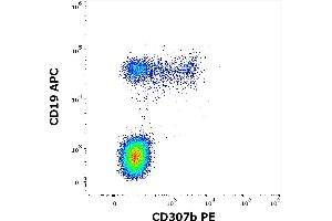 Flow cytometry multicolor surface staining of human lymphocytes stained using anti-human CD307b(B24) PE antibody (10 μL reagent / 100 μL of peripheral whole blood) and anti-human CD19 (LT19) APC antibody (10 μL reagent / 100 μL of peripheral whole blood).
