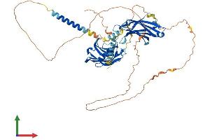 AlphaFold protein structure predicition of Mouse Recombinant Syt3 Protein, UniprotID O35681