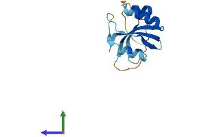 AlphaFold protein structure predicition of Mouse Recombinant Pin4 Protein, UniprotID Q9CWW6