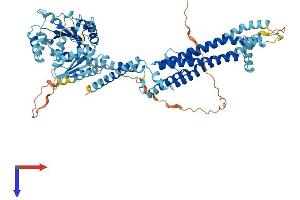 AlphaFold protein structure predicition of Human Recombinant MX2 Protein, UniprotID P20592