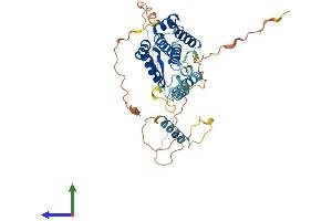 AlphaFold protein structure predicition of Mouse Recombinant Snapc1 Protein, UniprotID Q8K0S9