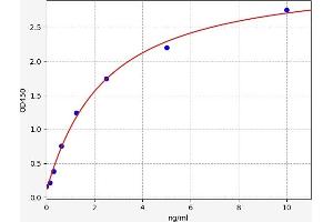Typical standard curve (FAF2 Kit ELISA)