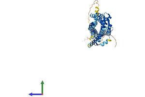 AlphaFold protein structure predicition of Human Recombinant APLNR Protein, UniprotID P35414