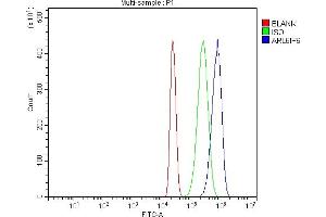 Flow Cytometry analysis of HL-60 cells using anti-ARL6IP6 antibody (ABIN7603020).