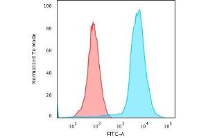 Flow Cytometric Analysis of PFA-fixed Jurkat cells using CD45 Monoclonal Antibody (135-4C5) followed by Goat anti- Mouse- IgG-CF488 (Blue); Isotype Control (Red).