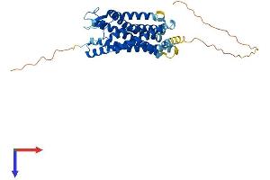 Apelin Receptor (APLNR) (AA 1-380) protein (His tag)