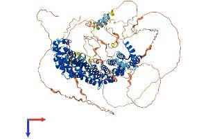 AlphaFold protein structure predicition of Human Recombinant PPP6R2 Protein, UniprotID O75170