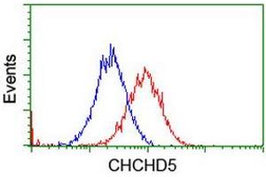 Image no. 9 for anti-Coiled-Coil-Helix-Coiled-Coil-Helix Domain Containing 5 (CHCHD5) (AA 1-110) antibody (ABIN1490561) (CHCHD5 anticorps  (AA 1-110))