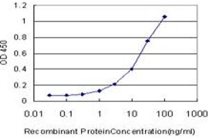 Detection limit for recombinant GST tagged MMP13 is approximately 1ng/ml as a capture antibody.