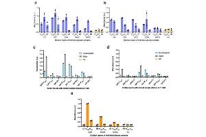 ELISA results using Rabbit Anti-Human IgM.