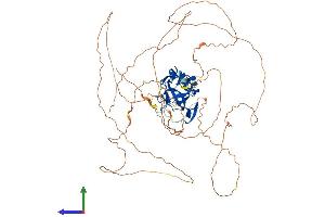 AlphaFold protein structure predicition of Human Recombinant TBR1 Protein, UniprotID Q16650