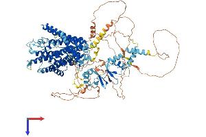 AlphaFold protein structure predicition of Mouse Recombinant Clcn1 Protein, UniprotID Q64347