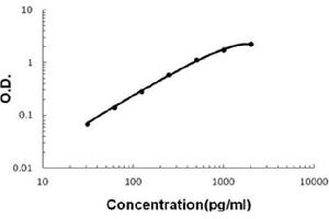 Sandwich ELISA - Recombinant mouse IL17F protein standard curve. (IL17F anticorps  (AA 29-161))