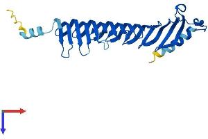 AlphaFold protein structure predicition of Human Recombinant MORN3 Protein, UniprotID Q6PF18