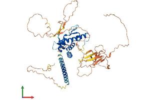 AlphaFold protein structure predicition of Human Recombinant BANP Protein, UniprotID Q8N9N5