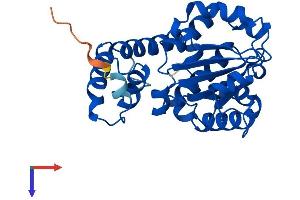 AlphaFold protein structure predicition of Human Recombinant TTPA Protein, UniprotID P49638