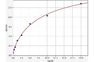 Lysophosphatidylcholine Acyltransferase 2 (LPCAT2) ELISA Kit