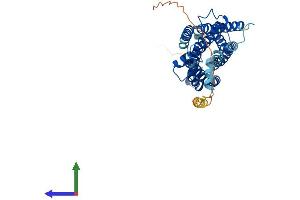 AlphaFold protein structure predicition of Human Recombinant LPAR5 Protein, UniprotID Q9H1C0