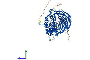 AlphaFold protein structure predicition of Human Recombinant FBXW11 Protein, UniprotID Q9UKB1