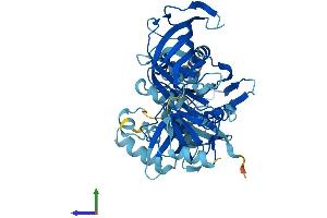 AlphaFold protein structure predicition of Human Recombinant EEF1A2 Protein, UniprotID Q05639