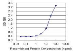 CEACAM1 (Human) Matched Antibody Pair