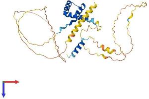AlphaFold protein structure predicition of Human Recombinant SHOX2 Protein, UniprotID O60902